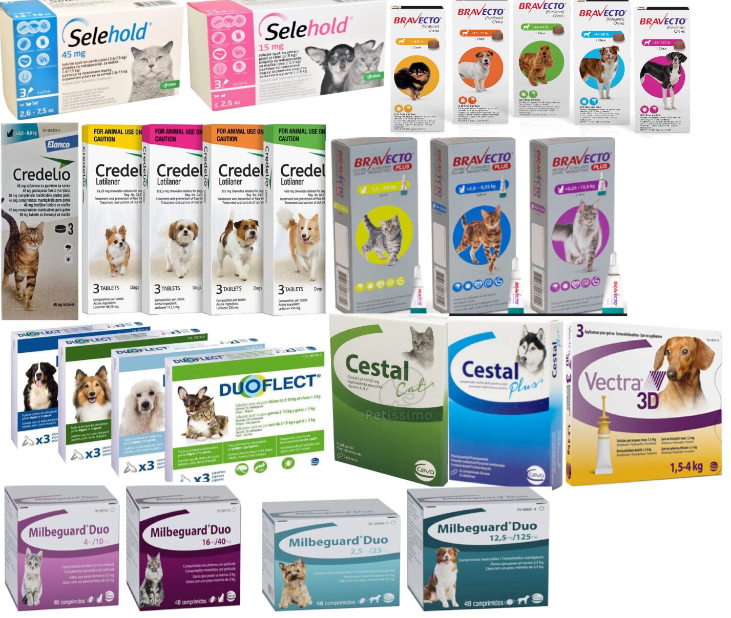 Deparazitare animale de companie