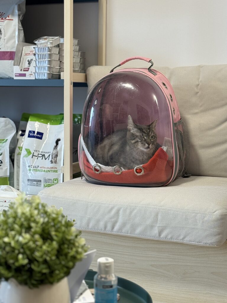 Cabinet veterinar Puls Vet - Galerie 05
